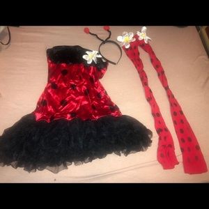 Ladybug Costume